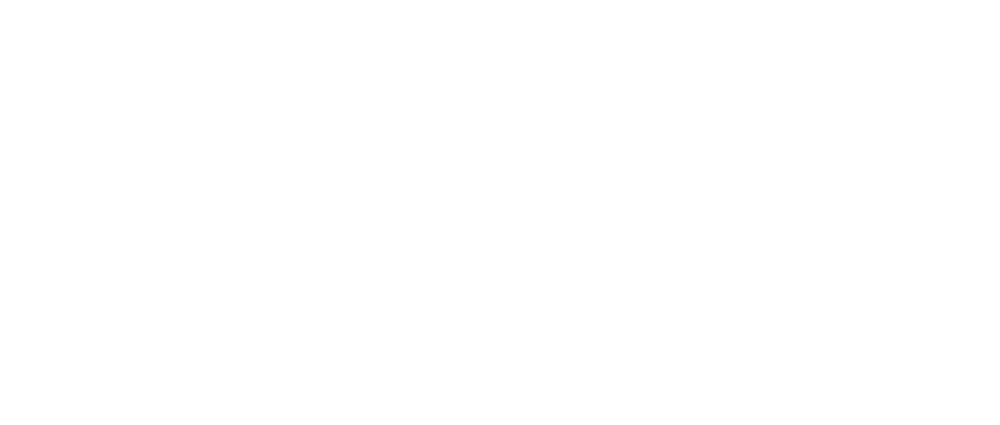 Allegiance Electric Inc.